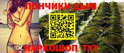 прущая мука Будённовск